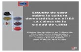 Estudio de caso sobre la cultura democrática en el IES La ...rodin.uca.es/xmlui/bitstream/handle/10498/17873... · Estudio de caso sobre la cultura democrática en el IES La Caleta