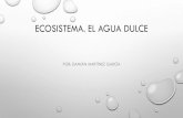 ECOSISTEMA. EL AGUA DULCE - Educastur Blogblog.educastur.es/5vallina/files/2020/04/ecosistema...CHARCA. ¿CUÁLES SON LOS COMPONENTES DE UN ECOSISTEMA? •EN UN ECOSISTEMA SE DIFERENCIAN