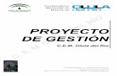 Proyecto de gestión Plan de centro · El proyecto de gestión del C.E.M. de Olula del Río es el documento marco que desarrolla las líneas para la ordenación y utilización de