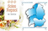 Provincia de A Coruña Soles Repsol en Galicia Provincia de ... · Provincia de Pontevedra Provincia de Lu o Provincia de Ourense . Created Date: 2/16/2017 9:01:01 AM ...