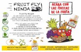 ACABA CON LAS MOSCAS DE LA FRUTA Fruit Fly Ninja® · Novedad 2019 ecoreciclat@gmail.com 93 296 62 24 FRUIT FLY NINJA es una trampa pequeña y discreta (3 x 5 cm) para atrapar las