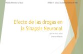 Efecto de las drogas en la Sinapsis Neuronalwoodland.cl/wp-content/uploads/2020/04/efecto-de... · Proceso neuronal en sinapsis de tipo química 1 y 2: Cuando el potencial de acción