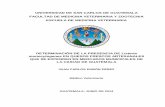 UNIVERSIDAD DE SAN CARLOS DE GUATEMALA FACULTAD DE ... · GUATEMALA, JUNIO DE 2014 . UNIVERSIDAD DE SAN CARLOS DE GUATEMALA ... la FAO y normas microbiológicas de los alimentos la