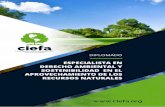ciefa - Cebem · ciefa Centro Iberoamericano Especializado en la Formación Ambiental A. Integrar un grupo multidisciplinario de profesionistas interesados en conocer y profundizar