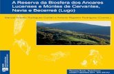 A Reserva da Biosfera dos Ancares Recursos Rurais decembro ... Especies y hábitats de interés para la conservación de la Sierra de Ancares (Lugo-León) 39 Rodríguez Guitián, Manuel