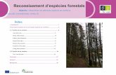 Reconeixement d’espècies forestalseforown.ctfc.cat/pdf/Fitxa 7b- catala_Reconeixer les... · 2020-03-16 · amb inserció quasi sempre helicoidal com en la pícea (a), i a vegades,
