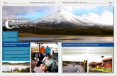 El Parque Nacional otopaxi - obraspublicas.gob.ec · el turismo en el volcán Cotopaxi eje-cutó la rehabilitación, mantenimiento y me-joramiento de la vía de acceso al Parque Na-cional