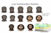 Los hominidos fósiles - Aragosaurus 2015-16... · 2016-01-28 · décadas los fósiles de los hasta ahora más antiguos homínidos fuera de África. Es un cráneo de hombre adulto,