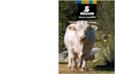 Informe anual 2012 - Saeca · Informe Anual 2012 Informe anual 2012 Sociedad Anónima Estatal de Caución Agraria Jorge Juan, 19 - 4ª planta, 28001 Madrid Teléfono: 91 209 37 00