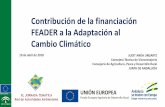 Contribución de la financiación FEADER a la Adaptación al ... · adaptación y mitigación al cambio climático: N18. Fomento de estrategias que mejoren gestión y/o calidad del