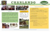 CHARLANDO - Cloud Forest Schoolcloudforestschool.org/wp-content/uploads/2018/10/C... · CHARLANDO Fecha: 23 octubre 2018 27 de Octubre Gran BINGO Creativa Este sábado 27 de octubre