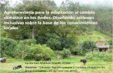 Agroforestería para la adaptación al cambio climático en ... · Agroforestería para la adaptación al cambio climático en los Andes: Diseñando acciones inclusivas sobre la base