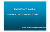 Biol Cel Tumoral 2013 [Modo de compatibilidad] · Jeghers (poliposis intestinal) Sindrome Peutz-Jeggers. Oncogene. 2007 February 26; 26(9): 1324–1337. Oncogene. 2007 February 26;