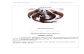 Granja Acuícola - SINATsinat.semarnat.gob.mx/dgiraDocs/documentos/sin/estudios/2008/25… · Almacén de Alimento y Albergue Estructuras de Compuertas Alimentadoras y de Cosecha