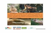 COBED: Cognición, bienestar y educación. … · educacion de los visitantes del parque zoológico de Barcelona. ... (orangutanes y jirafas) y 3) la atracción que provocan en el