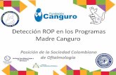Detección ROP en los Programas Madre Canguro...Retinopatía del prematuro Prevención Secundaria Prevencion Terciaria Prevención Primaria Programa para Prevención de Ceguera Por