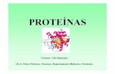 PROTE ÍNAS - Galiciacentros.edu.xunta.es/iesoteropedrayo.ourense/dptos/bio... · 2007-04-10 · PÉPTIDOS NATURALES Insulina e glucagónhormonas que regulan a concentración de glicosa