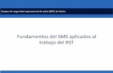 Fundamentos del SMS aplicados al trabajo del RST P3 David Almeida... · Fundamentos del SMS aplicados al trabajo del RST . Objetivo . 2 Informar a los participantes sobre los fundamentos