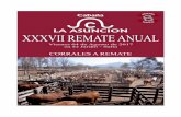 XXXVII REMATE ANUALlaasuncionsa.com.ar/uploads/archivos/corralesaremate.pdf · 2017-07-25 · rancho brf 316 magno alberta l. foot 792 (canberra) rancho brf 105 captain t/e alberta