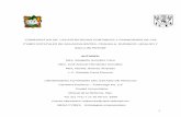 SAN LUÍS POTOSÍ” - Universidad Autónoma del Estado de Hidalgo · 2011-06-03 · utilización de cada una de las técnicas, en las empresas de las cinco entidades, el análisis