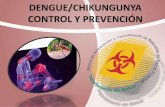 DENGUE/CHIKUNGUNYA CONTROL Y PREVENCIÓN...• El Dengue es una enfermedad causada por un virus. • Existen cuatro serotipos: DENV-1, DENV-2, DENV-3, DENV-4 • El periodo de incubación