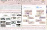 Presentación de PowerPointgaleria.uaem.mx/sites/default/files/obras/texto/Perez Citlalli - B.pdf · Efecto de la edad sobre la memoria espacial y morfología celular hipocampal de