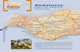 Andalucía - Frutas. Hortalizas · 2008-07-03 · regadíos del Guadalquivir como la zanahoria, la cebo-lla y la patata. Actualmente, la Junta de Andalucía reconoce los productos