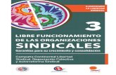 LIBRE FUNCIONAMIENTO DE LAS ORGANIZACIONES SINDICALES · 2017-08-24 · 10 Libre funcionamiento de las Organizaciones Sindicales: Garantías para su crecimiento y consolidación Libre