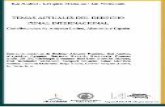 TEMAS ACTUALES DEL DERECHO · 2017-05-09 · Kai Ambos / Ezequiel Malarino / Jan Woischnik TEMAS ACTUALES DEL DERECHO PENAL INTERNACIONAL Contribuciones de América Latina, Alemania
