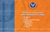 Per˜les por competencias del profesional en Psicologíapsicologiajuridica.org/perfilescolpsic.pdf · Gerencia de Recursos Humanos de la Univer - sidad de los Andes y actualmente