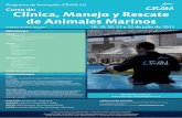 Curso de: Clínica, Manejo y Rescate de Animales Marinos · 2016-06-22 · Veterinario UAB. Área Clínica y Rescate Fundación CRAM. Marina Andrés. Veterinaria UZ. Área Clínica