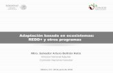 Adaptación basada en ecosistemas: REDD+ y otros programas...CONAFOR 5. México construye e implementa REDD+ CONTENIDO ... MÉXICO CONSTRUYE E IMPLEMENTA REDD+ 1. Estrategia Nacional