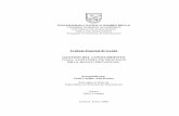 UNIVERSIDAD CATÓLICA ANDRÉS BELLObiblioteca2.ucab.edu.ve/anexos/biblioteca/marc/texto/AAQ5510.pdf · Metodología para un Desarrollo de Software Basado en la Gerencia del Conocimiento