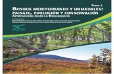 Bosque mediterráneo y humedales - IGME - Celis et al_Biogeografia.… · Bosque mediterráneo y humedales: paisaje, evolución y conservación. Aportaciones desde la Biogeografía