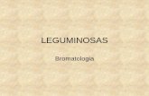 LEGUMINOSAS - CQFPcqfp.pe/serums2019/P2-5-LEGUMINOSAS.pdf · LEGUMINOSAS Bromatologia. Legumbres • Con el nombre de Legumbres, se entiende a los frutos y las semillas de las leguminosas.