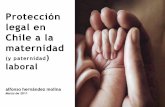 Protección legal en Chile a la maternidad...“Recordando lo dispuesto en la Declaración sobre los principios sociales y jurídicos relativos a la protección y el bienestar de los