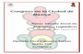 Congreso de la Ciudad de México · 2019-10-17 · junto con instituciones de gobierno y sociedad civil. En la Comisión de Participación Ciudadana, se aprobó el tercer informe
