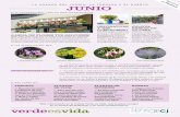 DECORATIVAS CULTIVA FRESAS EN TU CASAlosrosalesgarden.com/wp-content/uploads/2017/06/Agenda Verde e… · cordamos las plantas más adecuadas para cultivar en tiesto. La gran mayoría