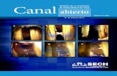 CanalDE ENDODONCIA DE CHILE REVISTA DE LA SOCIEDAD …Los procedimientos de endodoncia regenerativa (del inglés regene-rative endodontic procedures, REP) conecta tres elementos princi-pales,