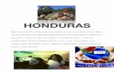 Family Letter Christina - insightoutproject.org · Quiero que sepas que estoy en el campeonato para béisbol. Como se mira Honduras? Te quiero decir que te quiero ver otra vez . Que