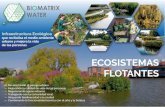 Catálogo Ecosistemas Flotantes 2 copia · Ecosistemas Flotantes tanto en su parte aérea como subacuática permiten el desarrollo del ciclo vital de una amplia diversidad de especies