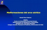 Daniel Vera Cabrera CERPO Centro de Referencia Perinatal ... · Centro de Referencia Perinatal Oriente ... Hipoplasia significativa del arco aortico, en comparación del tamaño del