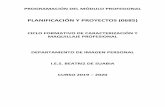 PLANIFICACIÓN Y PROYECTOS (0685)beatrizdesuabia.es/Programaciones/2019-20/IMAGEN PERSONAL 19 … · PROGRAMACIÓN DEL MÓDULO PROFESIONAL PLANIFICACIÓN Y PROYECTOS (0685) CICLO