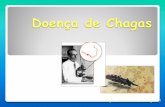 Doença de Chagas - WordPress.com · Doença de Chagas Profa. Carolina G. P. Beyrodt. Agente etiológico: Trypanosoma cruzi ... e desprovida de flagelo livre. Divide-se ativamente