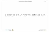 7 SECTOR DE LA PROTECCIÓN SOCIAL · 2012-09-19 · Dirección Nacional de Carrera Judicial de la Rama Jurisdiccional, ... Crea la Comisión Interinstitucional para la Promoción