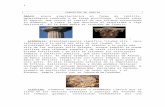 pedrocrespocotillas.files.wordpress.com€¦  · Web viewDestacaba el Partenón, ejemplo de perfección clásica, de orden dórico, y el Erecteion, templo jónico con su Tribuna