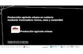 Producción agrícola urbana en cubierta mediante ...icta.uab.cat/ecotech/FERTILECITY/jornada_menjar_sa/produccion.pdf · Aeroponic Media culture Inorganic media Natural media Sand