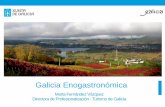 Presentación de PowerPoint · Turismo de Galicia en cifras •10,6% del PIB •11,23 % del empleo •Más de 4 millones de turistas en establecimientos reglados (1 millón de ellos