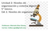 Niveles de organización · 2020-05-22 · Unidad 2: Niveles de organización y sistema digestivo. 5° básico. OA 1: Niveles de organización Profesora: Marcela Díaz Glaves. Correo:
