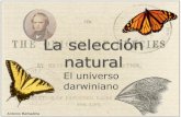 La selección natural - UAB Barcelonabioinformatica.uab.cat/diaposcurso/temaSN/sn.pdfabedul Biston betularia. La forma que pasa más desapercibida a los depredadores es seleccionada.